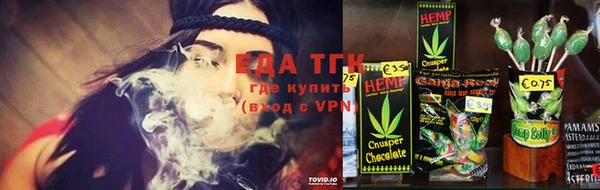 гашик Няндома