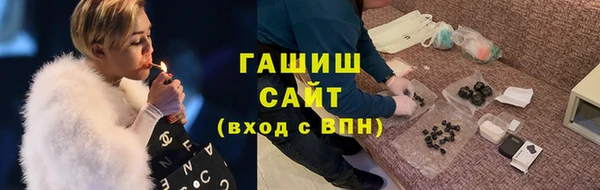 гашик Няндома