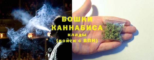 гашик Няндома