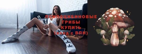 гашик Няндома
