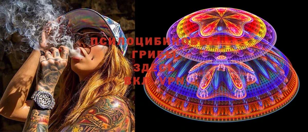 гашик Няндома
