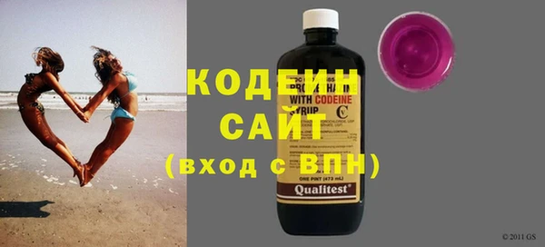 гашик Няндома