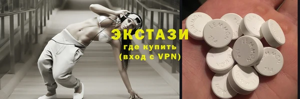 гашик Няндома