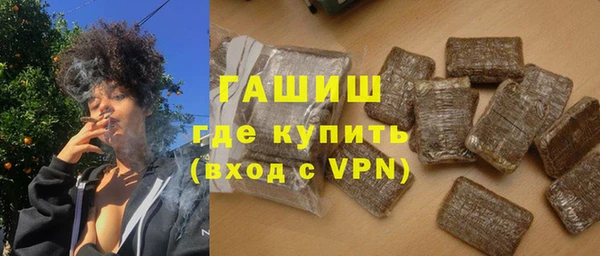 гашик Няндома