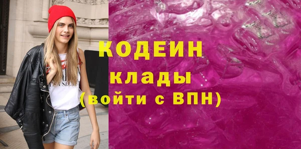 гашик Няндома