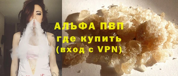 гашик Няндома