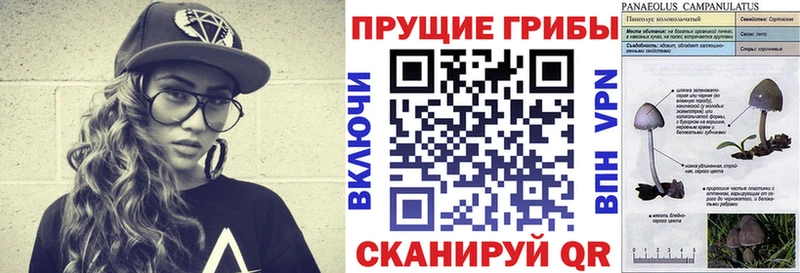 Галлюциногенные грибы мухоморы  MEGA tor  Усолье  хочу наркоту 